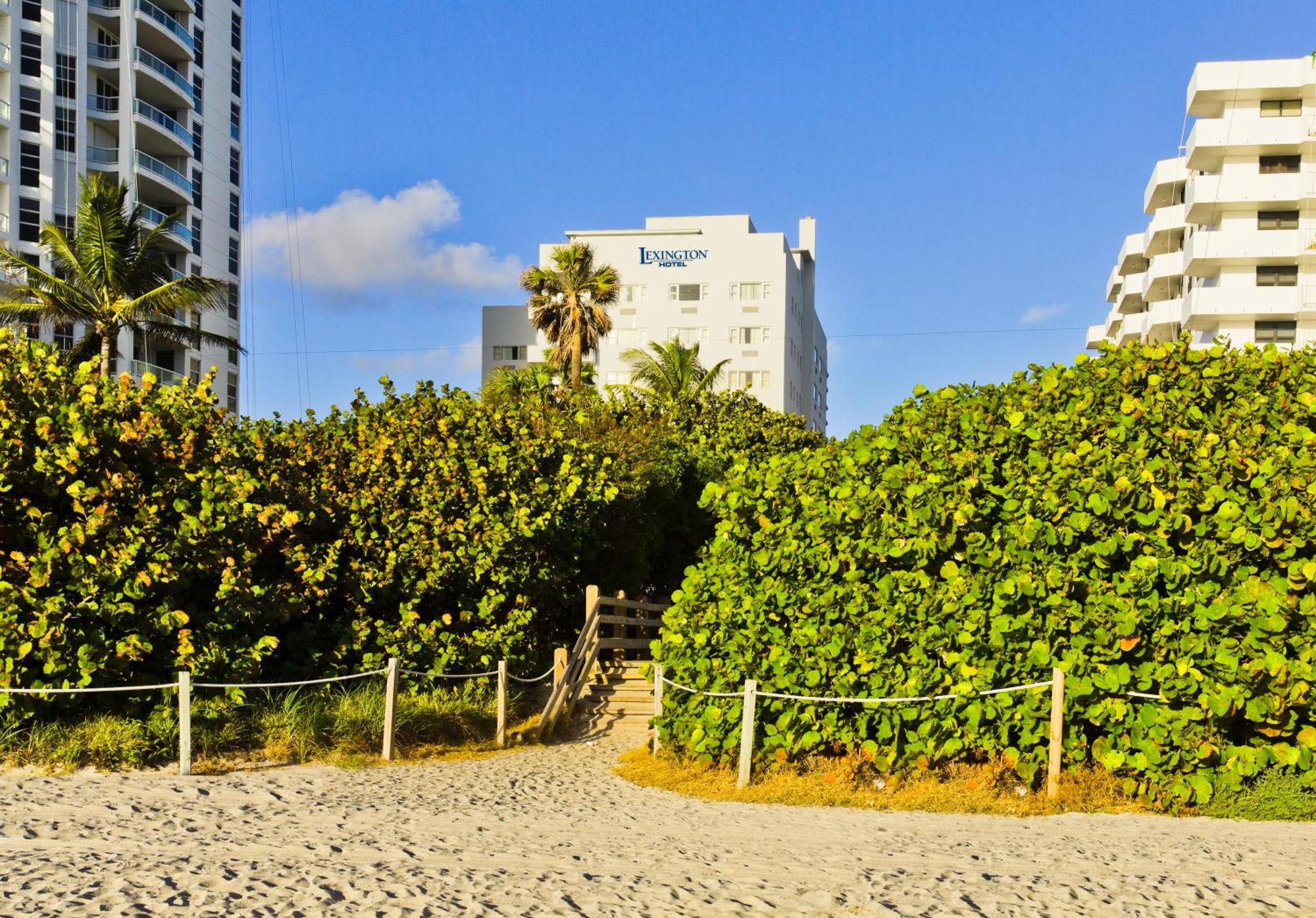 Lexington By Hotel Rl Miami Beach — Photos 2